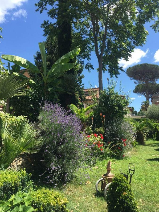 Apartmán Edy House Castiglione In Teverina Exteriér fotografie